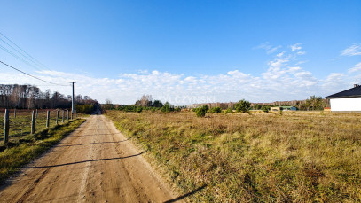 Działka Sprzedaż Krzyżówka