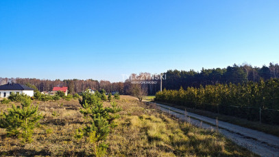 Działka Sprzedaż Krzyżówka