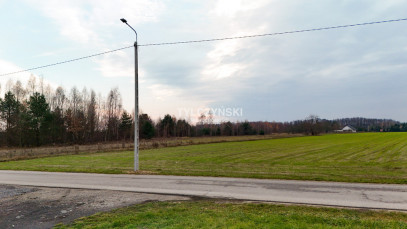 Działka Sprzedaż Zaręby