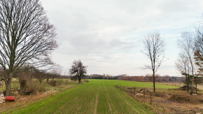 Działka Sprzedaż Zaręby