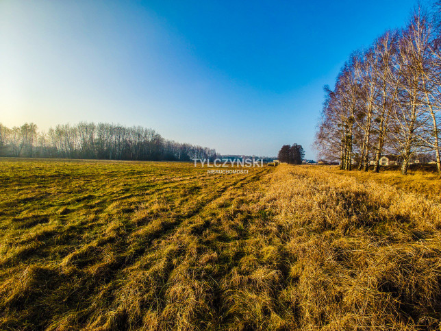 Działka Sprzedaż Kozery 6