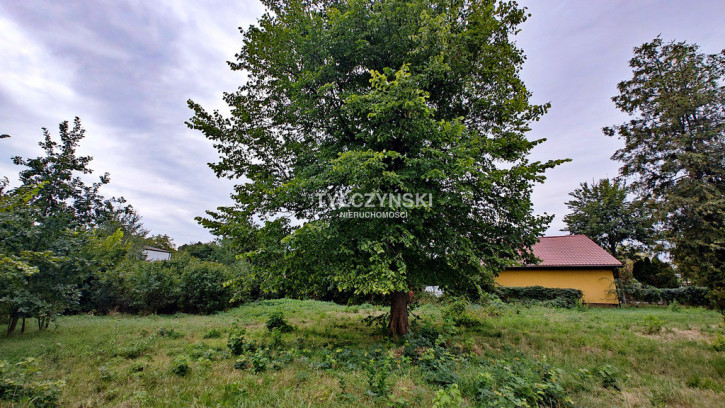 Działka Sprzedaż Grodzisk Mazowiecki 2