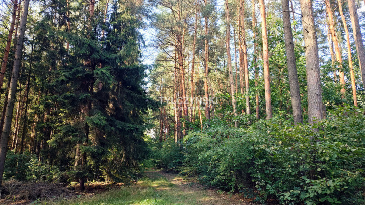 Działka Sprzedaż Grzymek 5